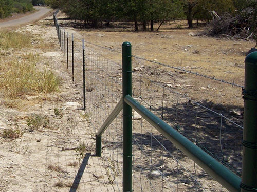 Cattle Fence