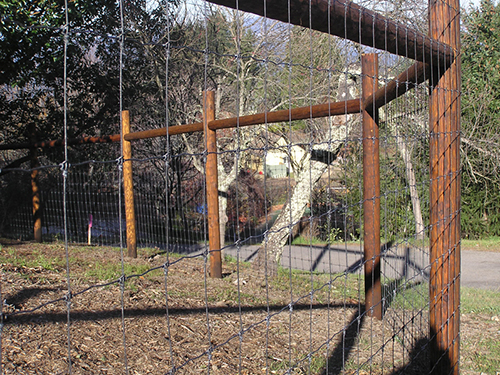 Deer Fence Case