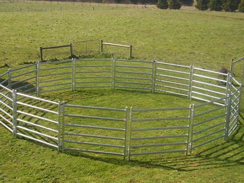 Cattle Yard Fence