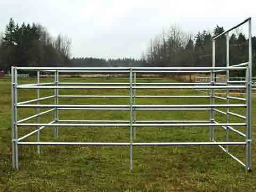 Cattle Yard Fence